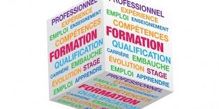 Quelles sont les formations les plus demandées ?