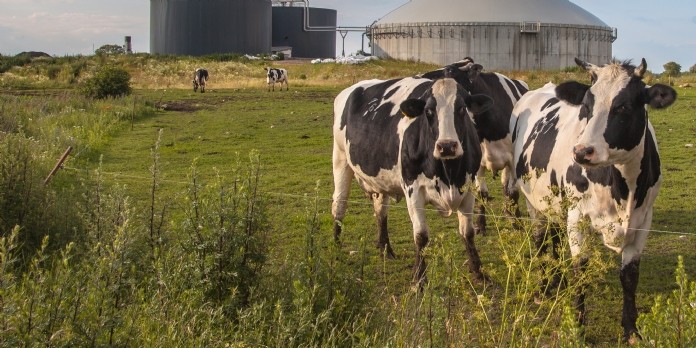 La Ferme de la Tremblaye cartonne en externalisant sa force de vente