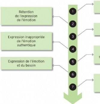 Fiche outils : Les 7 degrés de la maturité émotionnelle