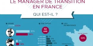 Management : Portrait-robot du manager de transition
