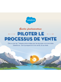 Couverture Piloter le processus de vente